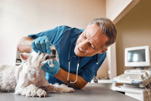 Best Emergency Root Canal Treatment in Plantsville, CT